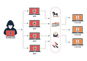 How a botnet works