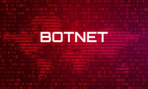 Botnet / DDoS